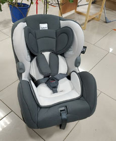 Автокресло детское Inglesina от 0 до 18 кг