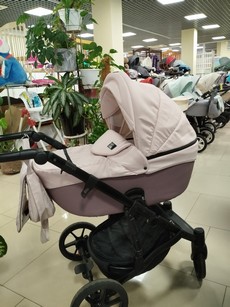 Коляска два в одном Аlpin