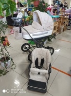 Коляска Roan Marita 2 в 1