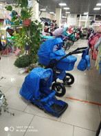 Коляска Tako 2 в 1