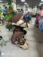 Коляска Tutis Zippy 2 в 1