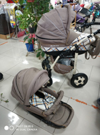 Коляска Polmobil 2 в 1