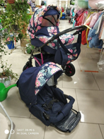 Коляска Аlis Mateo 2 в 1