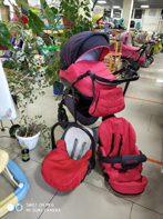 Коляска Tutis Zippy 3 в 1