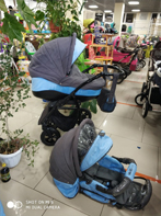 Коляска Willi Wey 2 в 1