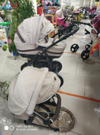 Коляска Marsel 2 в 1