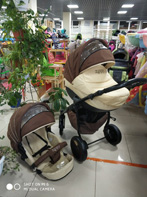 Коляска Tutis Zippy 2 в 1