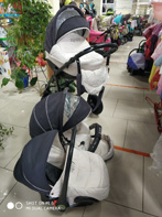 Коляска Tyttis Zippy 3 в 1