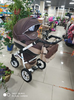 Коляска Riko 2 в 1