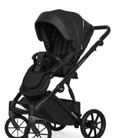 Коляска Riko Basik Montana Ecco 2 в 1
