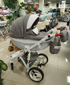 Коляска Adamex 2 в 1